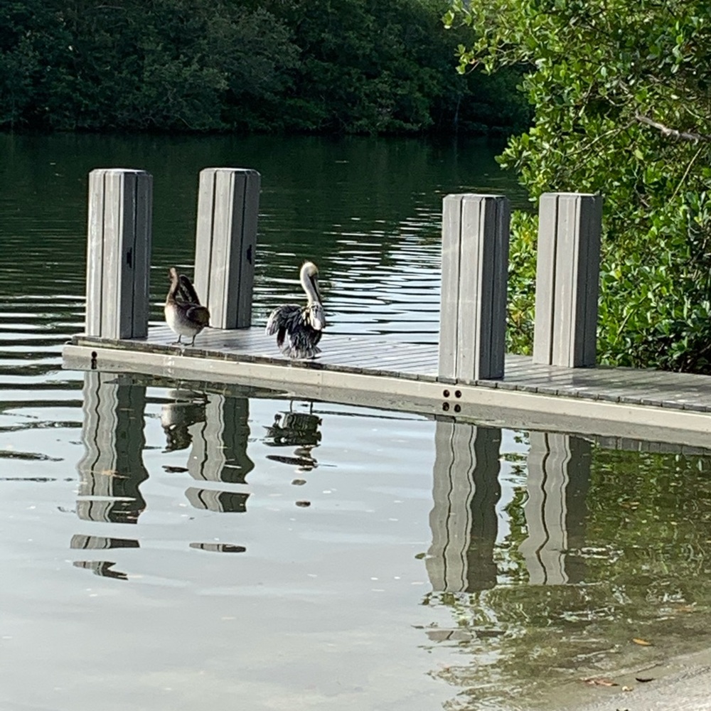 Meet your Posher, ZAM